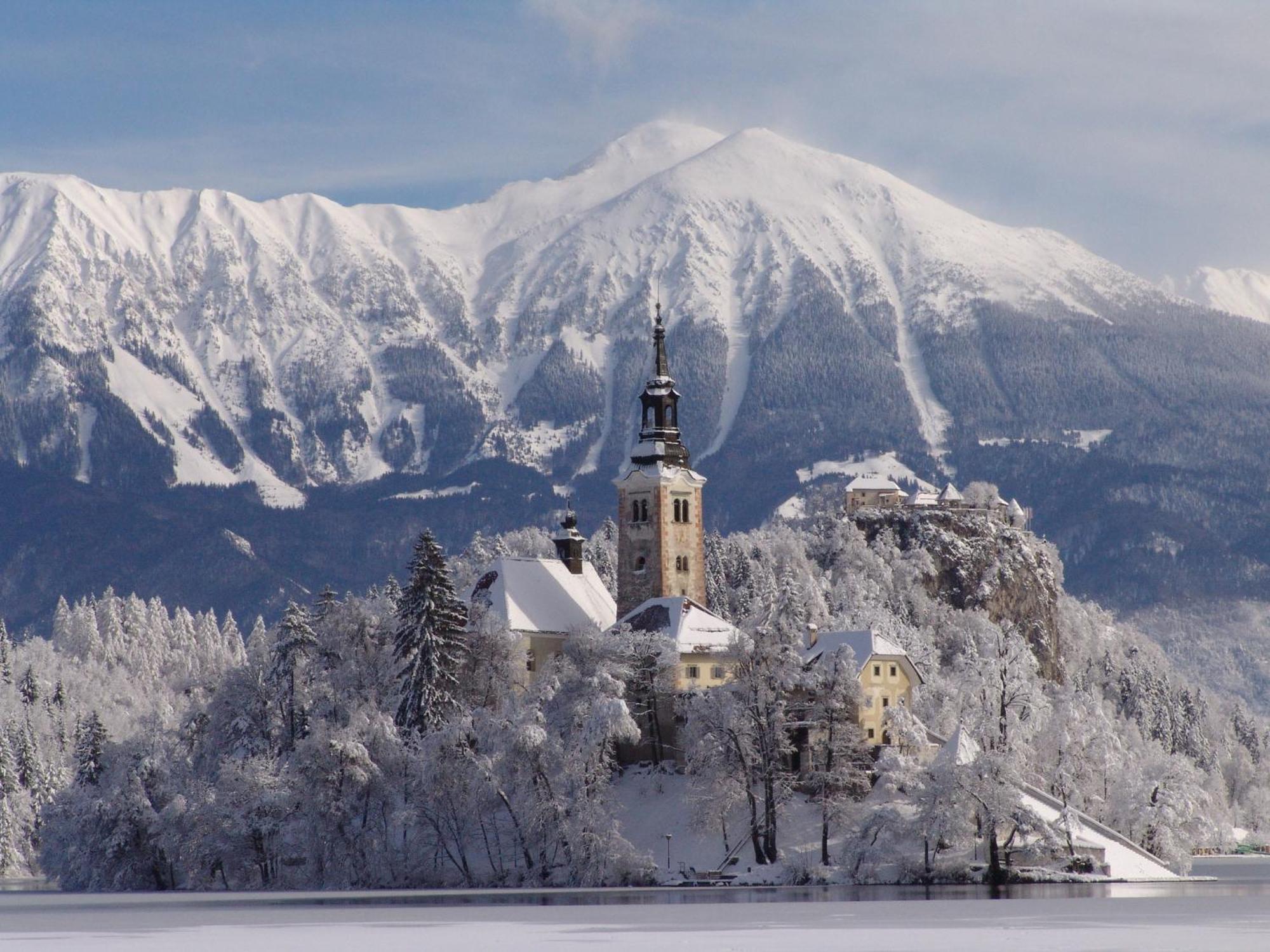 Apartments And Rooms With View On Bled Eksteriør billede